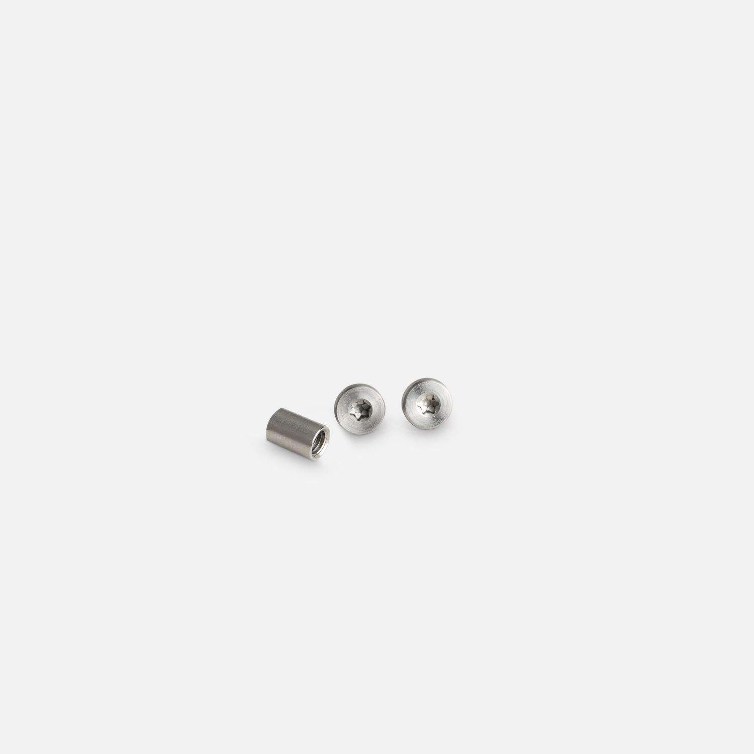 SAS 2 Torx Trigger Guard - Screw Kit - Silver